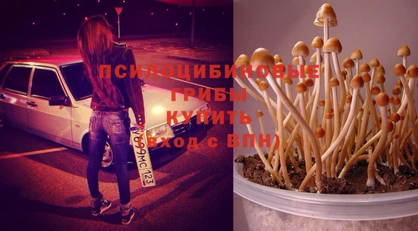 метадон Медногорск