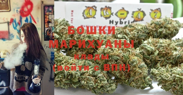гашик Медвежьегорск