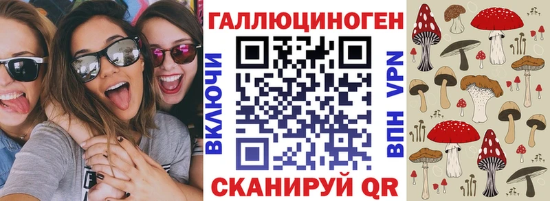 Галлюциногенные грибы Psilocybe  Купить  Химки 