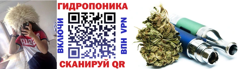 Купить закладки  Химки  Бошки марихуана Amnesia 